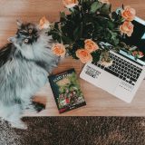 Rezension: Scary Harry #2: Totgegesagte leben länger – sonja Kaiblinger